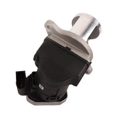 EGR Valve (BF0425810085)