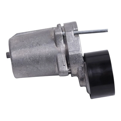 Belt Tensioner, V-ribbed belt (BACB12-234052)