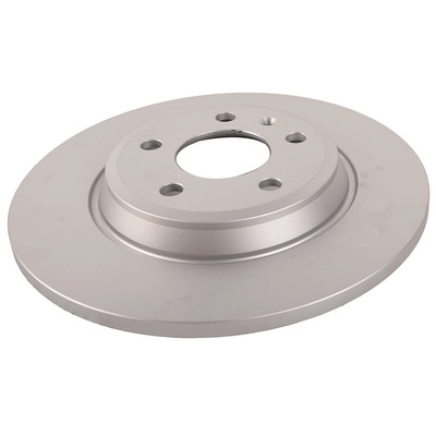 Brake Disc (BF0321080076)