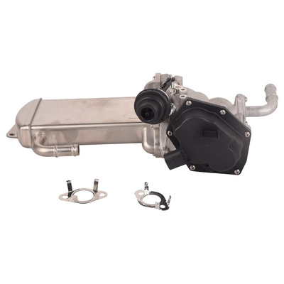 EGR Valve (BF0425820015)