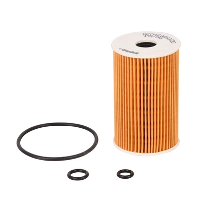 Oil Filter (BF0423450020)