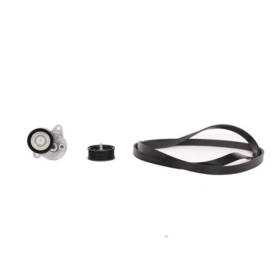 Mounting Set, tensioner pulley (V-ribbed belt) (BK0427640011)