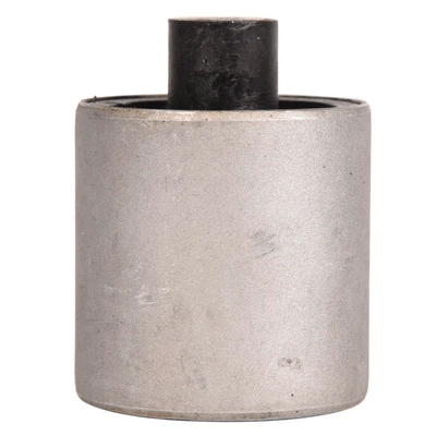 Mounting, control/trailing arm (BACB12-544017)