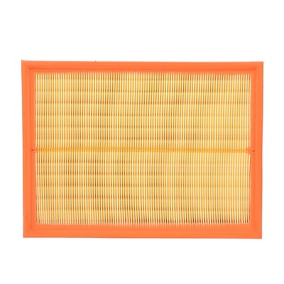 Air Filter (BF0427400085)