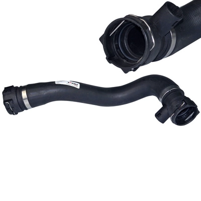 Radiator Hose (TOPT1213067)