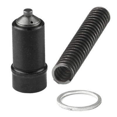 Tensioner, timing chain (BACB11-183010)