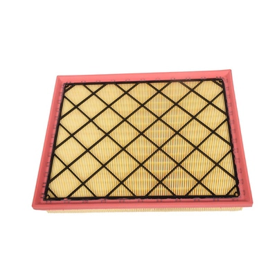 Air Filter (BF0427400122)