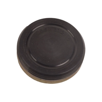 Locking Cover, camshaft (BF0425460003)