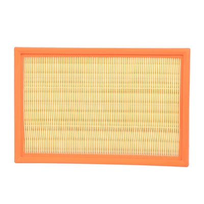 Air Filter (BF0427400078)