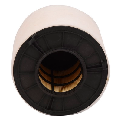 Air Filter (BF0427400092)