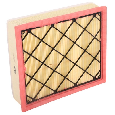 Air Filter (BF0427400219)