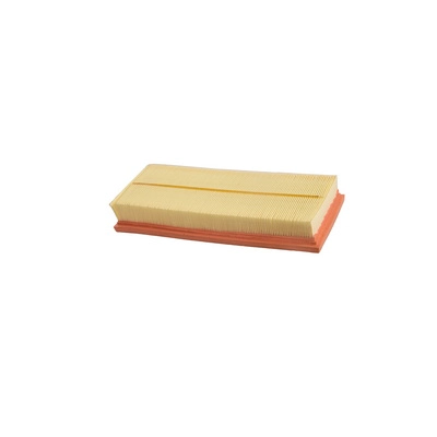 Air Filter (BF0427400057)
