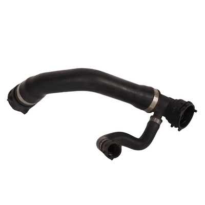 Radiator Hose (TOPT1213027)