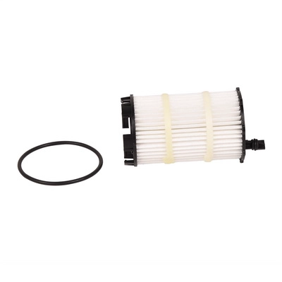 Oil Filter (BF0423470061)
