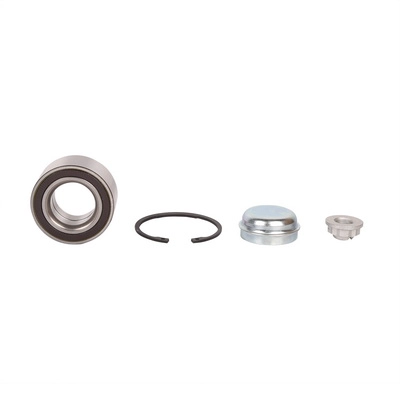 Wheel Bearing Kit (BF0321660009)