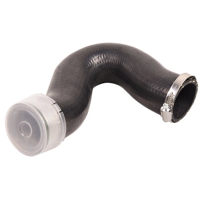 Charge Air Hose (BF0422700299)