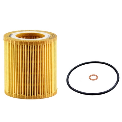 Oil Filter (BACB12-247009)
