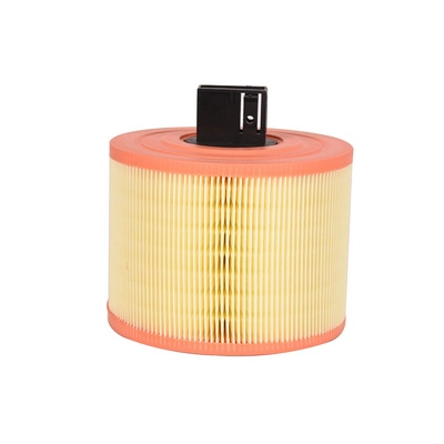 Air Filter (BACB12-939015)