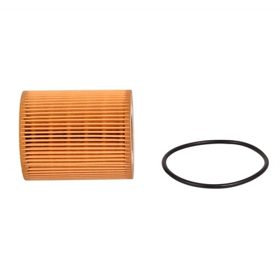 Oil Filter (BF0423470066)