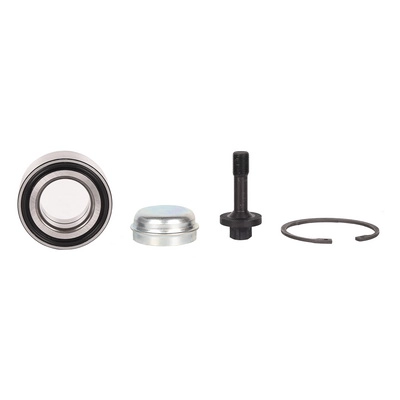 Wheel Bearing Kit (BF0321660024)