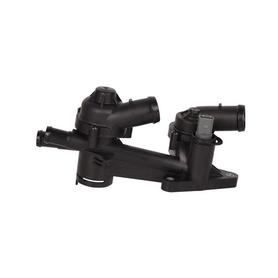 Thermostat, coolant (BF0426520043)
