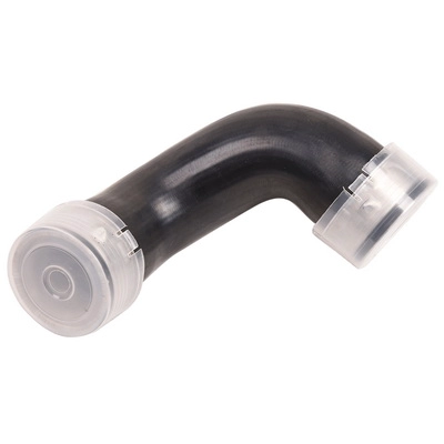 Charge Air Hose (BF0422700255)