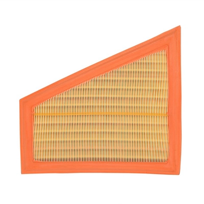 Air Filter (BF0427400009)