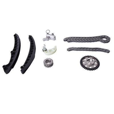 Guide Rails Kit, timing chain (BK0422440011)