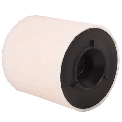 Air Filter (BF0427400171)