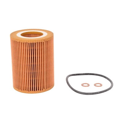 Oil Filter (BACB12-247008)