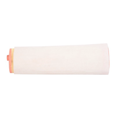 Air Filter (BF0427400037)