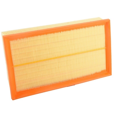 Air Filter (BF0427400066)