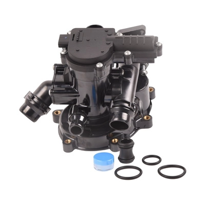 Thermostat, coolant (BF0426520100)