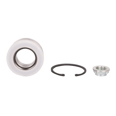 Wheel Bearing Kit (BF0321520022)