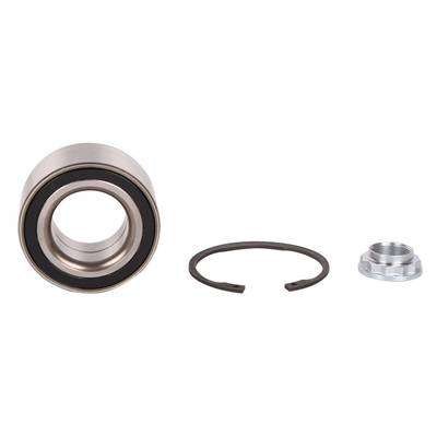 Wheel Bearing Kit (BF0321660027)