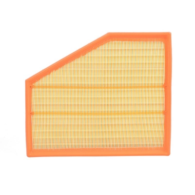 Air Filter (BF0427400014)