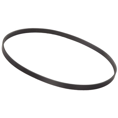 V-Ribbed Belt (BF0427580042)