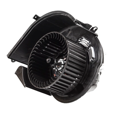 Interior Blower (TOPT1251020)