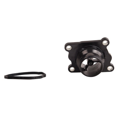 Thermostat, coolant (BF0426550036)