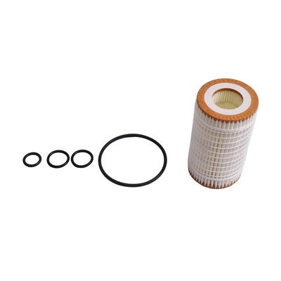 Oil Filter (BACB11-247011)