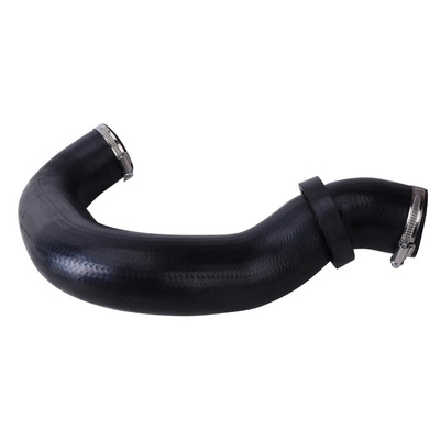 Charge Air Hose (BF0422700169)