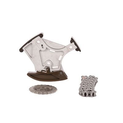 Guide Rails Kit, timing chain (BK0422440022)