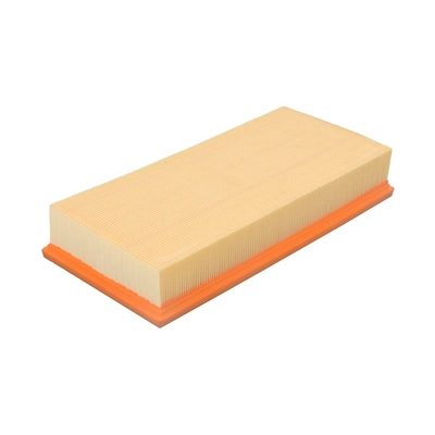 Air Filter (BF0427400299)