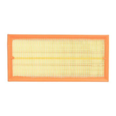 Air Filter (BF0427400080)