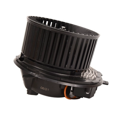 Interior Blower (BF0734070005)