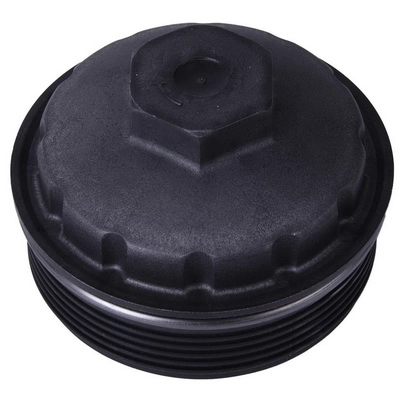 Cap, oil filter housing (BF0423430002)