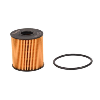 Oil Filter (BF0423470037)