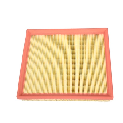 Air Filter (BF0427400018)