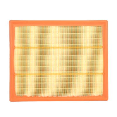 Air Filter (BF0427400035)