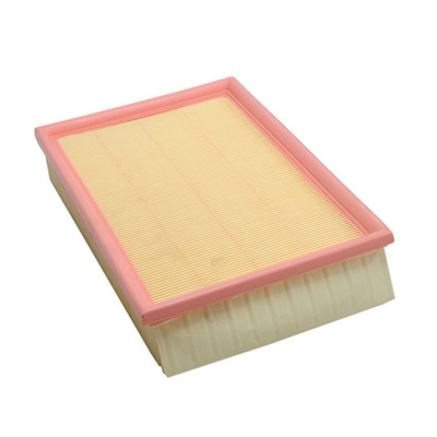 Air Filter (BACB11-939002)